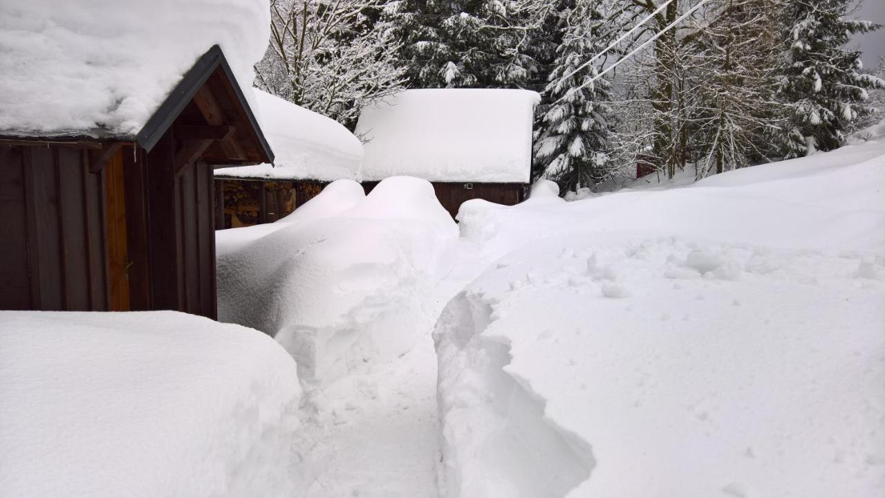 Chata V Srdci Krkonos Kořenov Exterior foto